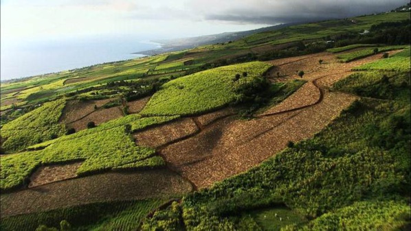L'île de la Réunion au programme de Passion Outre-Mer, ce dimanche sur France Ô