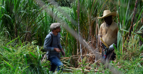 © Step by Step © Step by Step