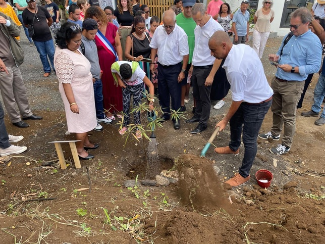 inauguration plantation inauguration plantation