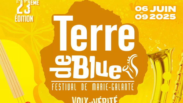Affiche du festival Terre de Blues Affiche du festival Terre de Blues