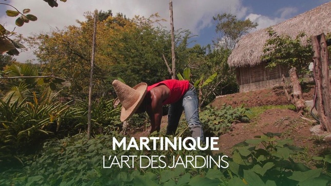 © Eclectic © Eclectic