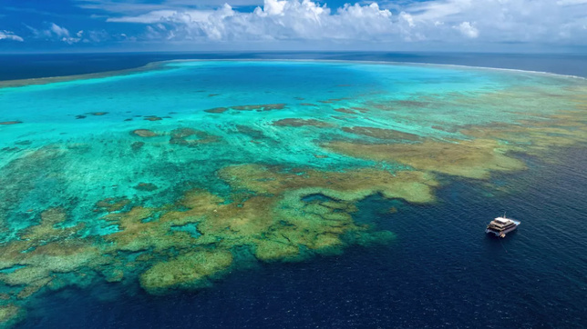 © Andrii Slonchak © Andrii Slonchak