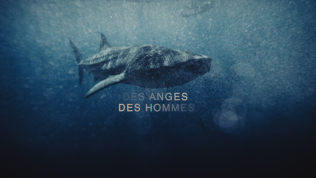 © Foulala productions © Foulala productions