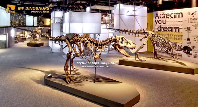 Source : mydinosaurs.com Source : mydinosaurs.com