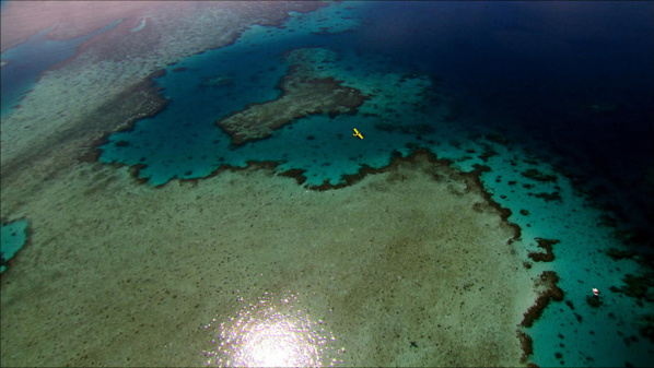 © Newen Distribution © Newen Distribution