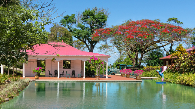 © France 3 © France 3