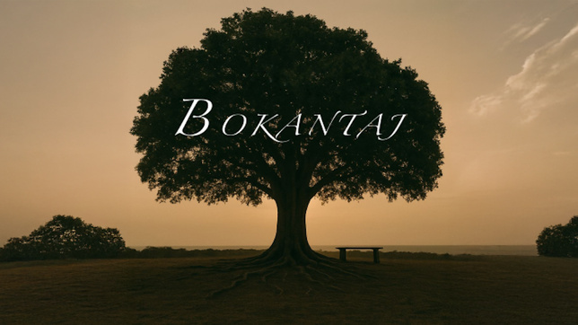 Bokantaj sur Guadeloupe La 1ère : une nouvelle série documentaire qui met en lumière les passeurs de mémoire