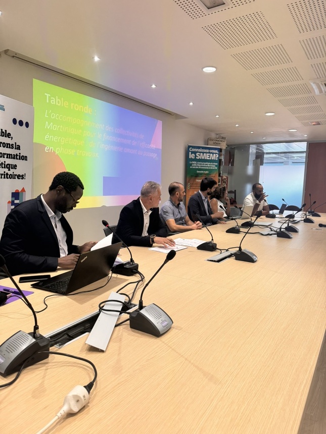 700 000 euros pour rénover les bâtiments publics en Martinique 700 000 euros pour rénover les bâtiments publics en Martinique