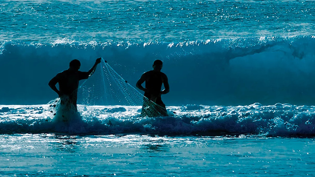 © Yann Hubert © Yann Hubert