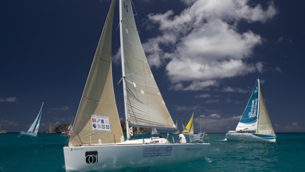 © Alexis Courcoux © Alexis Courcoux