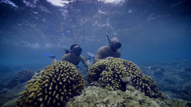 © Stories&Co - Cosmopolitis Productions © Stories&Co - Cosmopolitis Productions