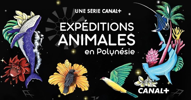 © Canal+ Calédonie