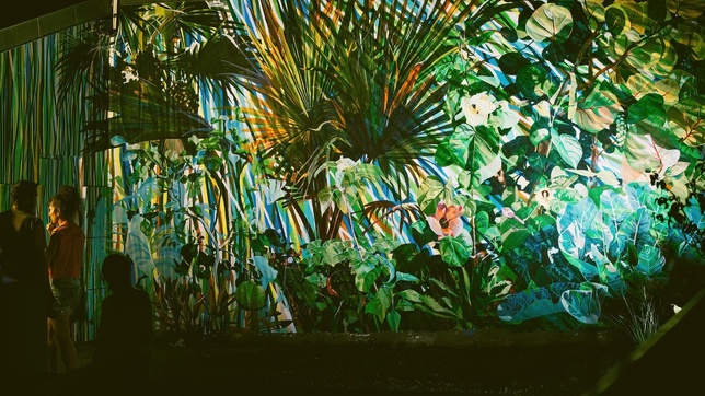 Émergence © Benoit DAVROUX