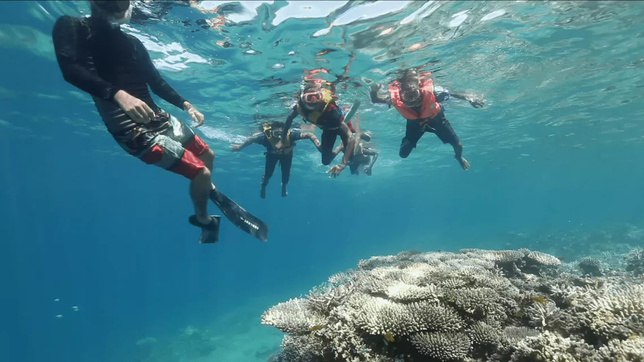 © La Cerise sur le Gâteau Prod © La Cerise sur le Gâteau Prod