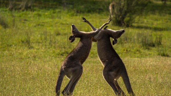 © Emma Napper 2014 - Life Story © Emma Napper 2014 - Life Story