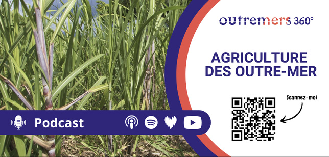 Outremers360 en direct du Village des Outre-mer au Salon International de l’Agriculture 2026