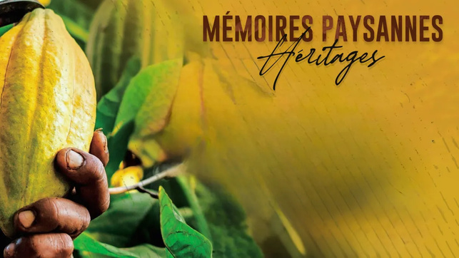 © Terre-eau dyn'amis / Guadeloupe La 1ère