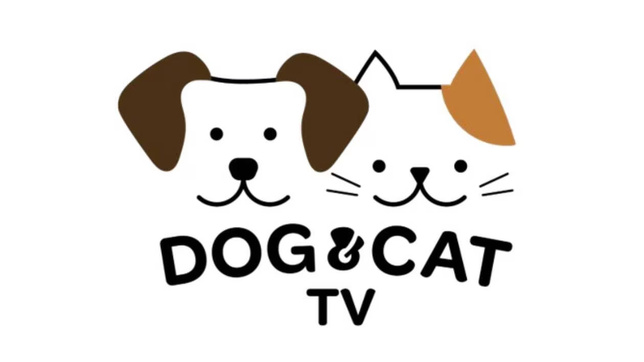 De nouvelles chaînes débarquent dans les Offres Canal+ Caraïbes