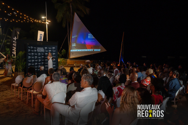 © Guillaume Aricique