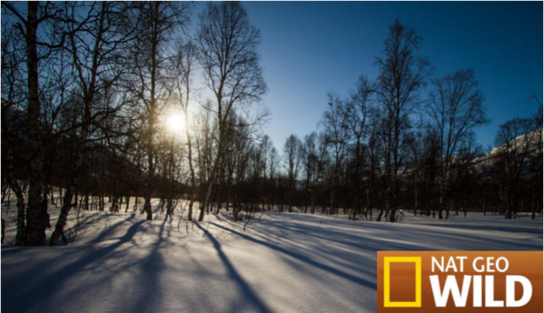 © Crédit Photo: Nat Geo Wild © Crédit Photo: Nat Geo Wild