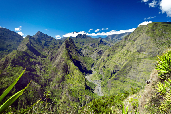 La Réunion © French bee