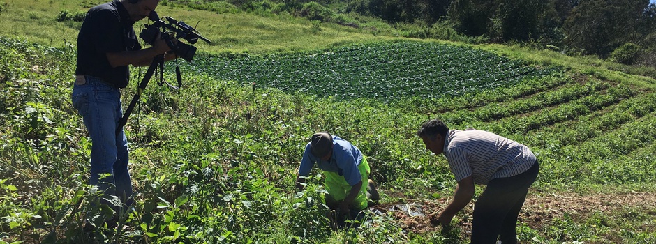 Réunion 1ère: Portrait de Joseph Payet, éleveur, dans "Un jour avec..." ce vendredi sur Réunion 1ère