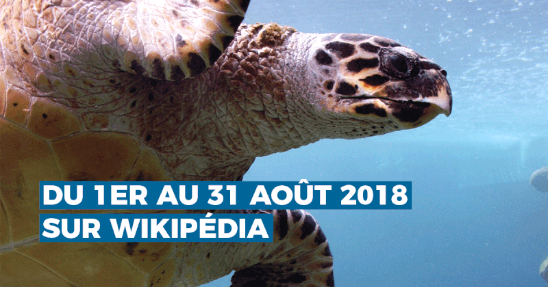 "Photographiez les Outre-mer", le premier concours photo ultra-marin sur Wikipédia