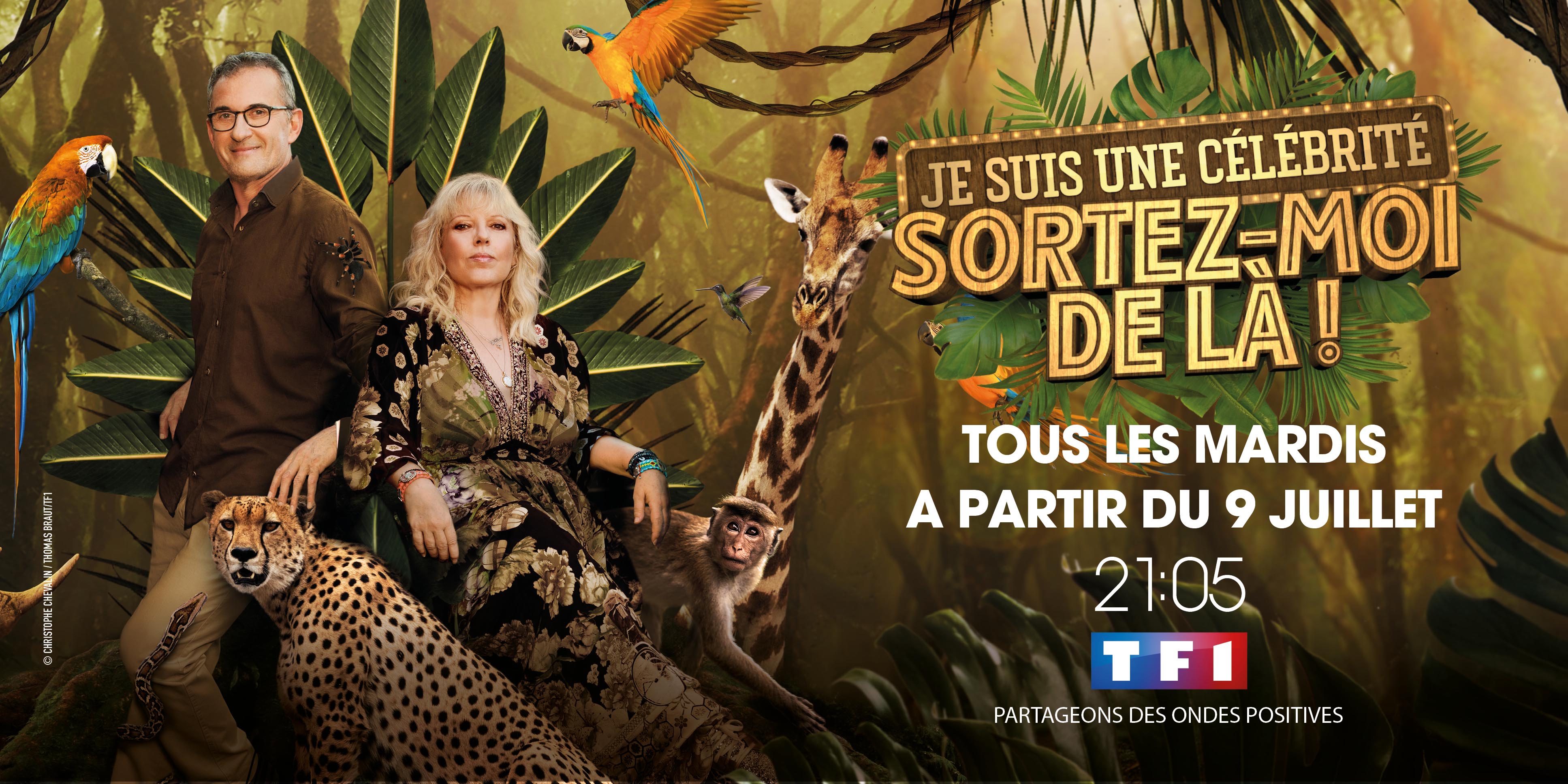 "Je suis une célébrité... Sortez-moi de là" de retour sur TF1 à partir