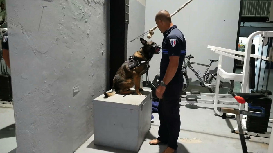 © Gedeon Programmes