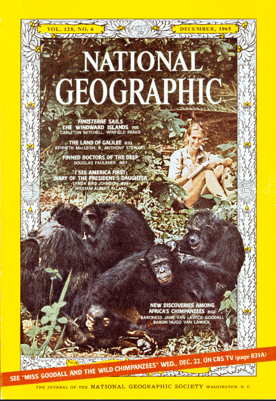 National Geographic annonce un nouveau documentaire dédié à Jane Goodall