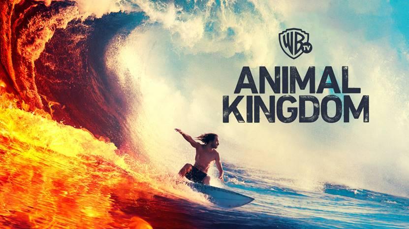 Animal Kingdom Saison 4 Diffusion France