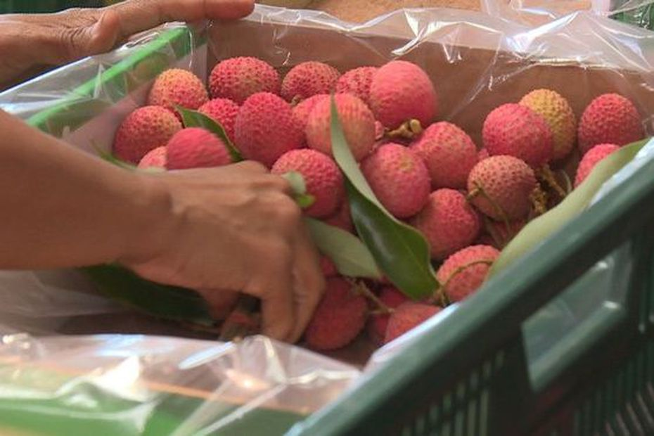 Les chaînes La 1ère dévoilent leur programmation pour les fêtes de fin d'année