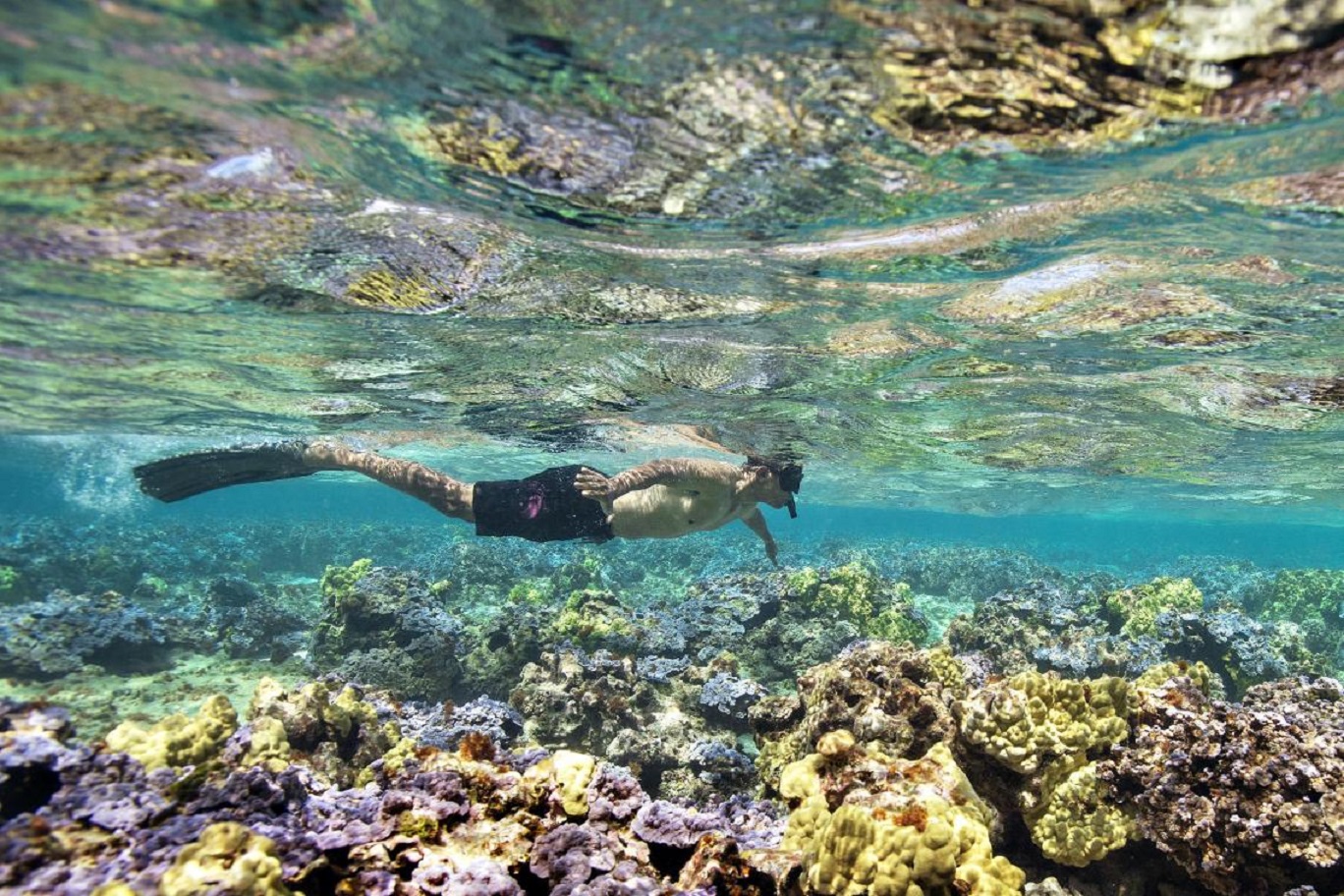 Nouvelle-Calédonie La 1ère: Programmation spéciale "24h sur l'Océan Pacifique" le 8 juin dés 06h45
