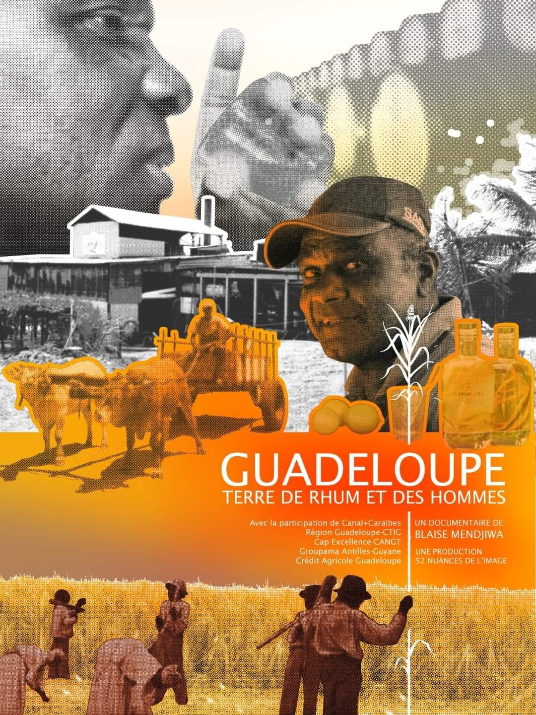 Le Rhum Guadeloupéen bientôt à l'honneur sur Canal+
