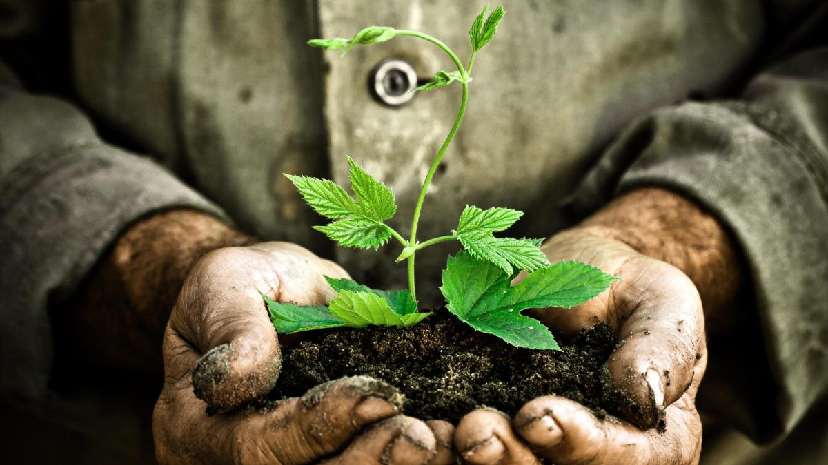 Salon de l'agriculture : Le Pôle Outre-Mer de France Télévisions se mobilise pour mettre en avant la richesse et la diversité de l'agriculture des territoires ultramarins