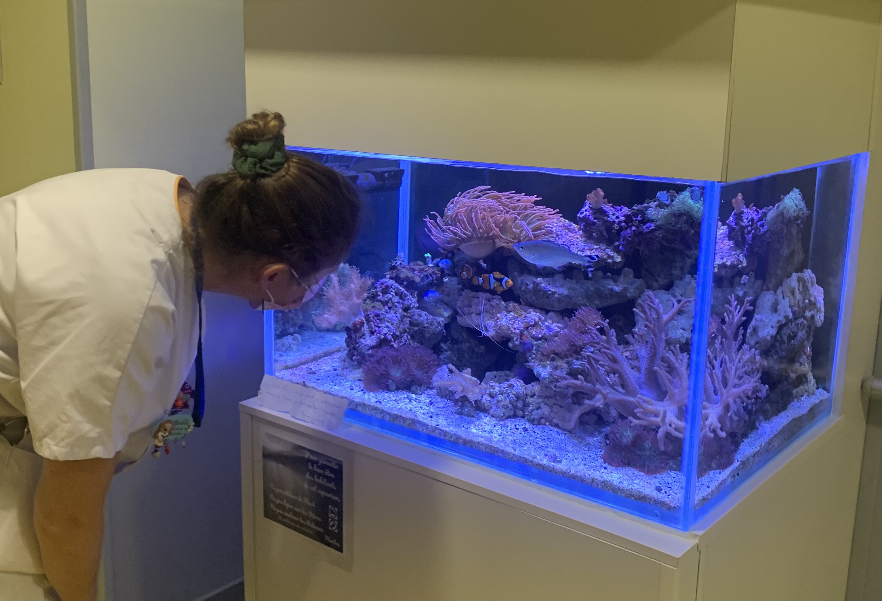 Aquarium installé dans le service pédiatrie du CHU de Saint-Denis