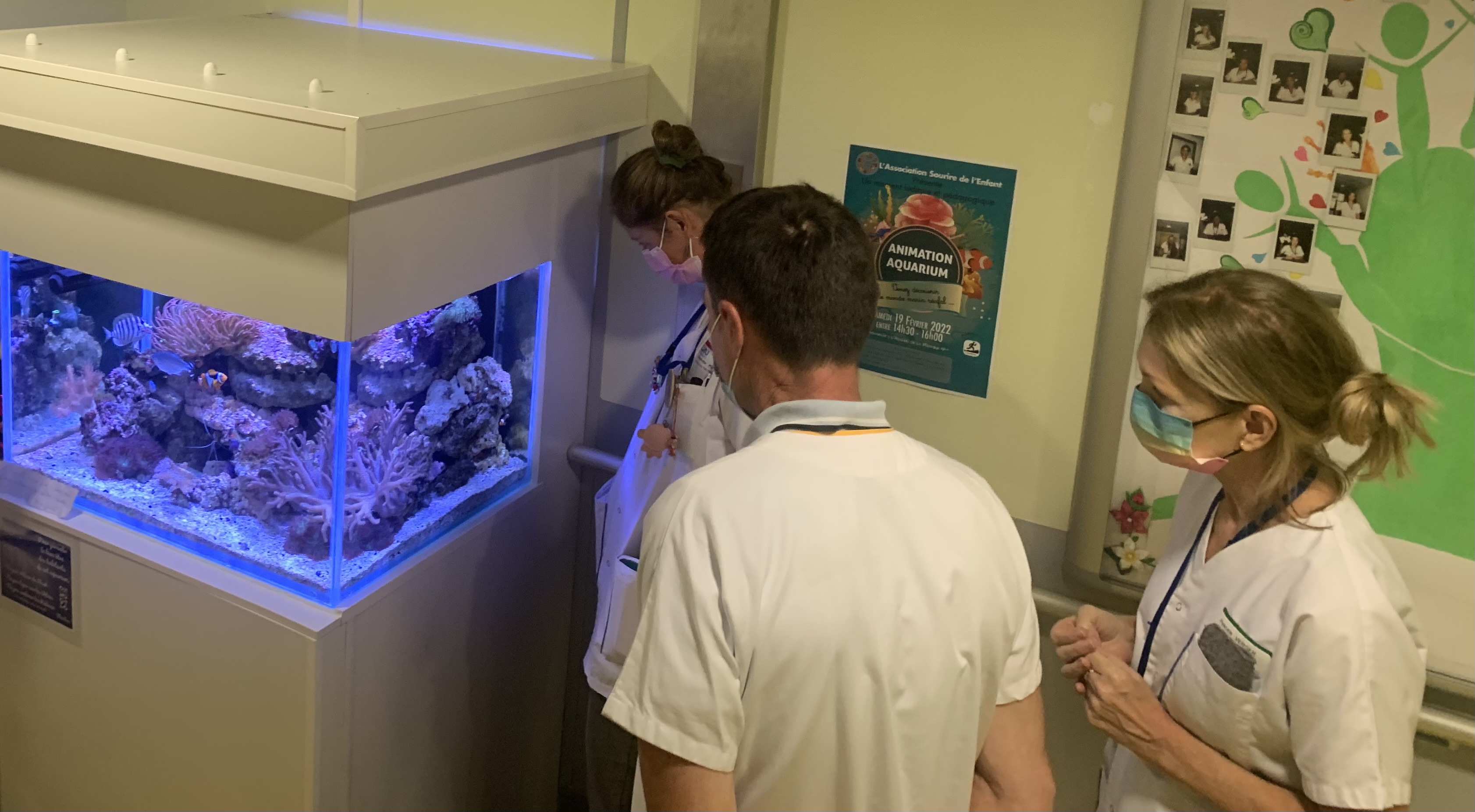 Le personnel soignant du service pédiatrie du CHU de Saint-Denis observant le nouvel aquarium installé