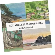 Le mahorais Attila Cheyssial publie une collection d'aquarelles originales, qui mettent à l'honneur Mayotte