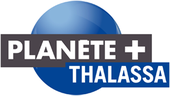 Logo de la chaîne Planete+ Thalassa