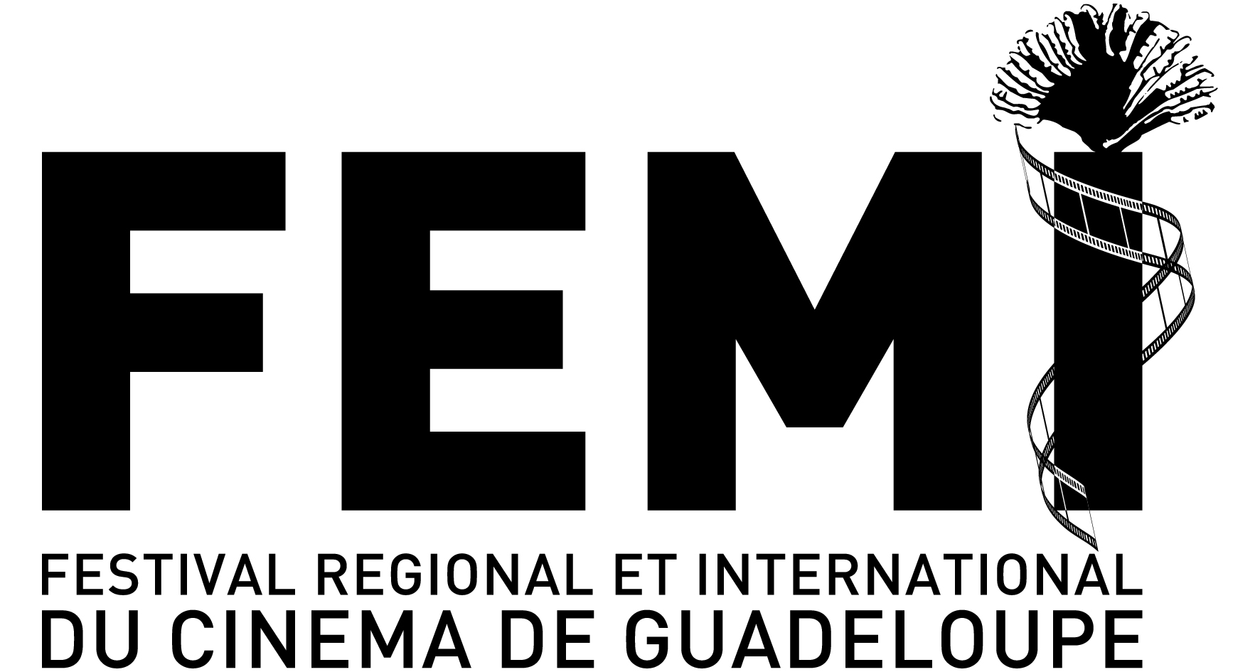 Guadeloupe: Présentation du 21ème Festival Régional et International du Cinéma de Guadeloupe (FEMI)