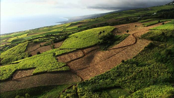 L'île de la Réunion au programme de Passion Outre-Mer, ce dimanche sur France Ô
