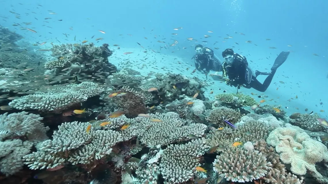 © La Cerise sur le Gâteau Prod et Grand Angle productions