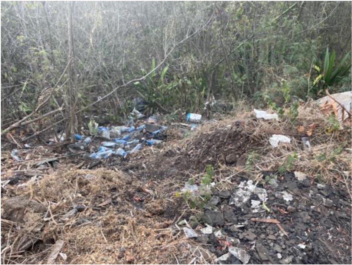 World Clean Up Day 2025 : La Réunion au rendez-vous de la plus grande mobilisation citoyenne mondiale pour la planète