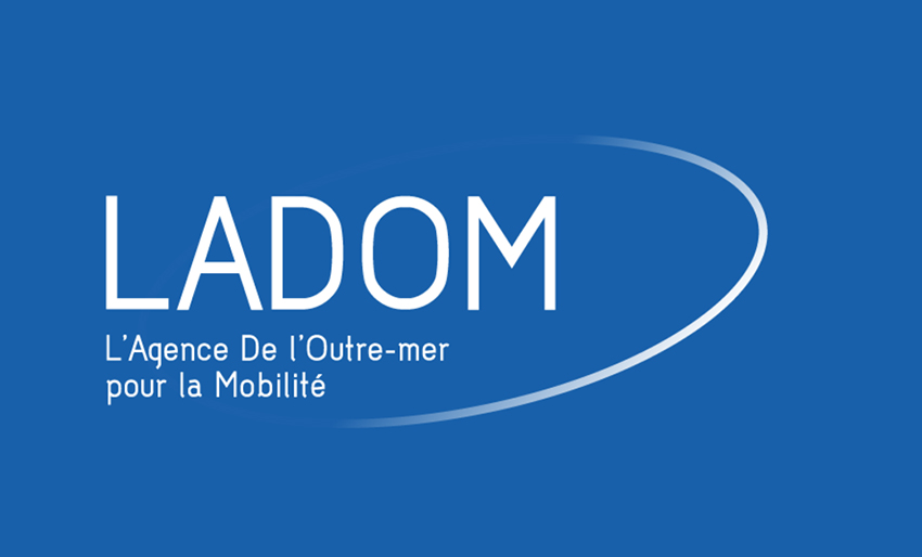 25 jeunes des quartiers prioritaires de Guadeloupe, Guyane et Martinique s’envolent en mobilité professionnelle au Québec