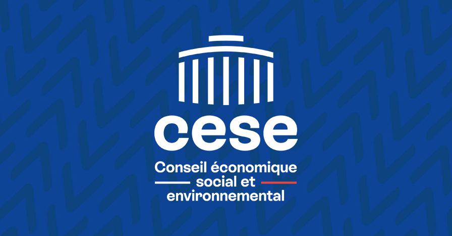 Santé dans les Outre‑mer : le CESE appelle à une stratégie nationale ambitieuse pour réduire des inégalités persistantes