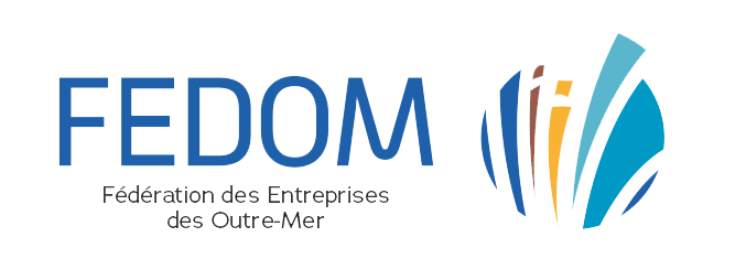 Adaptation du TESE, une simplification nécessaire face au défi du travail informel en Outre-Mer