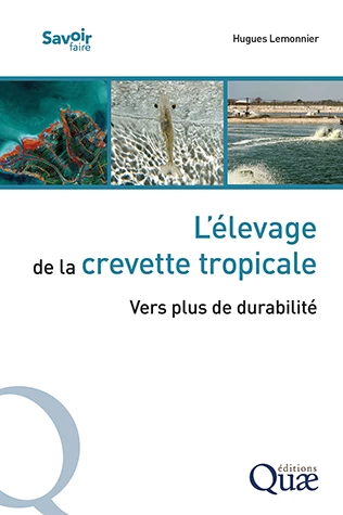 Crevetticulture tropicale : un nouvel ouvrage explore les pistes pour rendre la filière plus durable