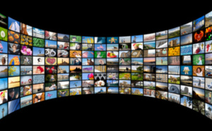 Projet de partenariat du Service du patrimoine archivistique et audiovisuel avec l'Université de la Polynésie française