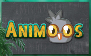 Deux nouveaux programmes courts sur Nouvelle-Calédonie 1ère