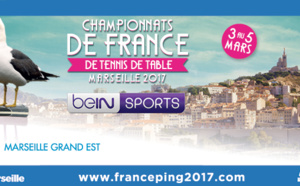 Championnat de France de Tennis de table: beIN Sports diffusera les finales